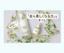 目を惹くバナー・ヘッダー制作します ※修正回数無制限。納得のいくデザインに仕上げます！ イメージ2
