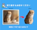 大切な写真を加工＆合成致します お気に入りの写真をAIなどを活用して加工いたします イメージ2
