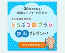 Web画像（バナー/各種SNS画像）作ります 使用目的に合わせて作ります！ご相談ください！ イメージ6