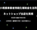 補助金を利用したネットショップ出店を支援します 元楽天：補助金申請に関わる業務の代行可能！ イメージ1