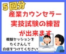 5回分　産業カウンセラー実技試験の練習ができます 私が60分間クライエント役、振返りもさせて頂きます。 イメージ1