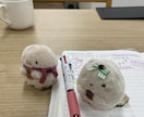 あなたのぬい活応援します あなたのぬい活の自慢を3日間してください イメージ3