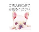 ご購入前に必ずご一読ください。よろしくお願いします ご購入の際の注意事項です。お手数ですが必ずご一読ください。 イメージ1