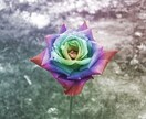 創作のお題考えます 創作はしたいがネタが思いつかないあなたへおすすめです！ イメージ1