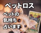 虹の橋のあの子の気持ち、はっきりお伝えします 今どう感じているのか。あなたに伝えたい想いを丁寧に視ます。 イメージ1