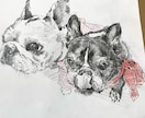 格安！モノクロで愛犬、愛猫などのイラストを描きます シャープで愛らしいオシャレな印象に仕上げます☆ イメージ1