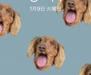 イラスト、アイコン描きます 欲しいイラスト教えてください！ イメージ1