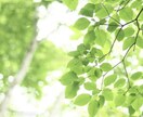 ナースな占い師があなたの不安に寄り添います 不安に寄り添い前を向く足掛かりを作ります。 イメージ1
