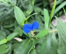 心が疲れた時お話聞きます どんなことでも吐き出して下さいね。心が楽になります。 イメージ2