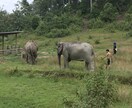 ビギナーさんのタイ旅を一緒に考えます 訪タイ歴15回、子連れ・1人旅・友人旅での経験をシェアします イメージ2