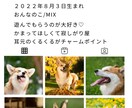 Instagram風デザインうちの子名刺を作ります ＋2000円で100枚(送料無料) イメージ3