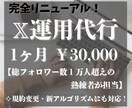 丸投げOK！Xのプロチームが一ヶ月間代行します 豊富な知識と丁寧な手作業によりアカウントを軌道に乗せます！ イメージ1