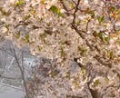 悩んでること相談のります 悩んでることありませんか？誰にも相談出来ないなら私が聞きます イメージ1