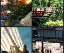 即納品から新規撮り下ろしまで写真提供致します 写真歴7年【手軽に、気軽に、低予算で】 イメージ4
