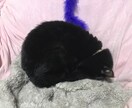 愚痴、恋愛相談ききます 恋愛に自信ない人、仕事の愚痴、悩み、ききます。 イメージ1