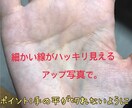 手相、数秘術、オラクルカードを使って鑑定致します 自分自身を客観的に知って、自分らしく生きましょう♪ イメージ3