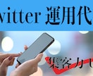 SNS運用でお悩みの方必見！Xのファンを増やします フォロワー数がすべてじゃない。Xに最適な運用サポートをします イメージ1