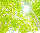 10分間の集中ケア。心身を優しく緩め自分を整えます 頑張りすぎた自分への小さな休息。穏やかな私を取り戻す10分間 イメージ6
