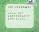 あなた【専用の『腰痛』ケア動画】お作りいたします 現役の身体のプロのアドバイスが気軽に受けられる！ イメージ4