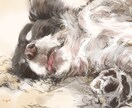 リアルな愛犬・愛猫の似顔絵を描きます お写真そっくりにお描きします。 イメージ1