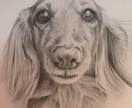 愛猫・愛犬などペットを鉛筆画で似顔絵を描きます 完成した絵を確認後の購入なので安心！確認後のキャンセルも無料 イメージ6
