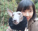 男性限定　貴方の疲れた心を癒します 心の声を聞かせて下さいませんか？貴方を癒し支えます イメージ3