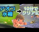 動画編集会社が10月まで格安で動画編集を行います ココナラ新規出店！割引価格でご案内中！ イメージ3