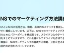SNSでのマーケティング方法を一気に教えます SNSマーケティングの基礎から戦略分析に至るまでの包括的内容 イメージ1