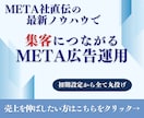 Meta広告1か月間運用+初期設定します 相談無料_初期設定・レポーティング・運用までサポート イメージ1