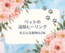 どんな動物でも☆遠隔でペットヒーリング致します 高次のエネルギーを使用した強力な浄化作用のヒーリング イメージ1