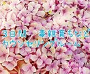 毒親に心が縛られて苦しい方、お悩み聞きます LINE感覚で３日間文字のやり取りし放題！ イメージ1