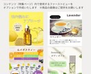 楽天市場中小店舗向け 売れる特集ページを制作します ニーズに合わせた成果を生む“伝わるコンテンツ設計” イメージ10