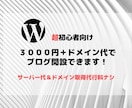 超初心者向け！WordPressでブログ作成します とにかく「格安で」「手間無く」ブログを始めたい方 イメージ1