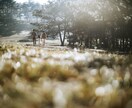 あなたの『強み』の言語化サポートします まだ気づけていない強みを理解して今後のキャリアに活かそう！ イメージ3