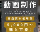 視聴者が見たくなる動画を作成します 目的に合わせた動画制作を承ります イメージ1