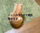 愛玩動物看護師がペットのお悩みをチャットで聞きます 動物病院の看護師にペットのこと、ちょっと話してみませんか？ イメージ1