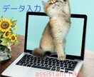 データ入力致します PDF、画像等からデータ入力。忙しい方のサポート。英文入力可 イメージ1
