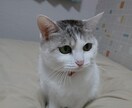 問題解決に向けて真剣に向き合い、そして占います 結婚の時期や入籍日などの選定。不倫・離婚問題・新築移転など… イメージ7