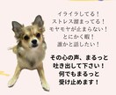 とにかく話したい人！何でも聞きます 今の気持ちまるっと受け止めます♪安心して何でも話して下さい イメージ2