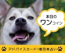 ワンコイン占い　今のあの人の気持ち占います いつも気になるあの人の気持ち♡何回でもどうぞ(ღˇᴗˇ)o♡ イメージ1