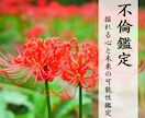 不倫鑑定＊揺れる心と未来の可能性を丁寧に鑑定します 霊視でお二人の心と未来を深く視させていただきます イメージ1