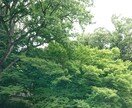 神のお告げと東洋占星術のハイブリッド占いを致します 神のお告げと東洋占星術の紫微斗数占いの秘伝と合わせた占いです イメージ1