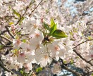 ネットショップ開設 仕入先教えます ネットショップを開設して稼ぎませんか？♡ イメージ1