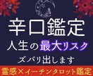 あなたの人生の『致命傷』最大リスクを診断します 正直鑑定｜恋や仕事の停滞を解消したい方へ・24H イメージ1
