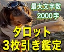 恋愛や仕事など何でもタロット３枚引きで占います 現状・対策・結果を明らかにし総合的なアドバイスをします。 イメージ2