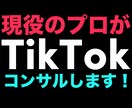 TikTokのアドバイスします 【300万再生の実績あり】初心者でも丁寧に教えます！ イメージ1