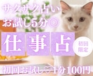 お試し♡5分でサクッと、あなたの仕事運を占います 【3月末まで♡初回限定】1分200円→100円｜才能・天職 イメージ1