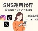 SNSの投稿代行＆コメント返信します コメント対応から投稿作成まで忙しい方のSNS更新をサポート イメージ1