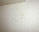 賃貸の退去費用を減額してもらう交渉例文を作成します 交渉例文は何度でも作成します。例文集もご用意しています。 イメージ3