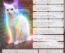 うちの子 チャクラリーディングを画像にします 言葉で伝えられない、大切な家族の心とエネルギーを健康診断 イメージ7
